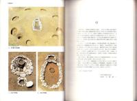 笹山遺跡発掘調査報告書　-十日町市埋蔵文化財発掘調査報告書 第14集-（新潟県）