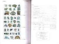 笹山遺跡発掘調査報告書　-十日町市埋蔵文化財発掘調査報告書 第14集-（新潟県）