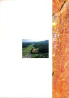 赤坂今井墳丘墓　-第3次発掘調査概要報告-（京都府中郡峰山町）