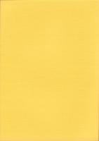 茨城県における弥生時代研究の到達点　-弥生時代後期の集落構成から-（茨城県）