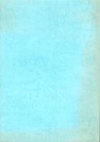 小島北磯遺跡　-大阪府文化財調査研究センター調査報告書 第54集-