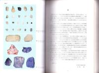 前・中期旧石器問題の検証