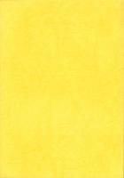 第6回京都府埋蔵文化財研究集会　発表資料集