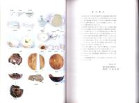 古城遺跡　-豊田市埋蔵文化財発掘調査報告書 第23集-（愛知県）