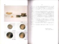 中狭間遺跡　-安城市埋蔵文化財発掘調査報告 第6集-（愛知県）