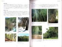 （図録）樹と竹　-列島の文化・北から南から-