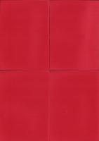 関西の縄文墓地　-葬り葬られた関西縄文人-　全4冊（資料集ⅠⅡⅢ、発表要旨集）