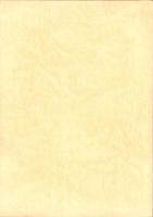 名古屋〈笹島〉野宿者聞き取り報告書　-生活・労働・健康・福祉-　1995年10月（名古屋市）