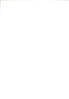 S字甕を考える　-その成立と拡散・波及と定着・解体-