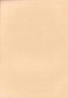 西上免遺跡　-愛知県埋蔵文化財センター調査報告書 第73集-（愛知県）