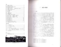 西上免遺跡　-愛知県埋蔵文化財センター調査報告書 第73集-（愛知県）