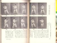 太極拳　-中国8億人民の健康体操-　レモン新書19