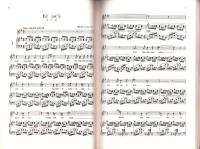 （楽譜）ボルフ歌曲集2