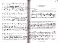 （楽譜・原書）Wunderhorn Songs -FOURTEEN SONGS TO TEXTS FROM "YOUTH'S MAGIC HORN" FOR VOICE AND PIANO（少年の魔法の角笛 -声楽とピアノのための「少年の不思議な角笛」の詩による14の歌曲-）