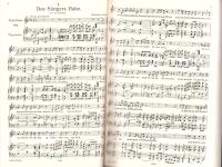 （楽譜・原書）SCHUBERT GESANGE ALBUM BANDⅤ　-ORIGINAL=AUSGABE-（シューベルト歌曲アルバムⅤ　-元版-）