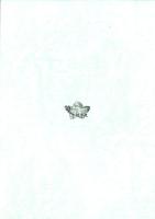 土岐市史資料研究Ⅹ（岐阜県）