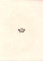 土岐市史資料研究 11（岐阜県）