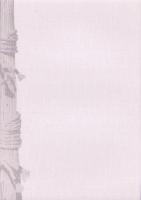 兼松家文書抄（愛知県）