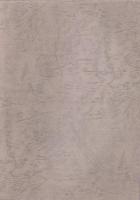 塘叢　-北方川並奉行所調役　丹羽玄塘著-（愛知県）