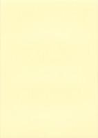 （東京大学史料編纂所蔵）明智光秀の事　-明智氏一族宮城家相伝系図書　美濃国諸家系譜に見る-（岐阜県）