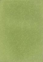 真清探当証　-復刻版-　ロマンに彩られた古代秘史のなぞ(愛知県）