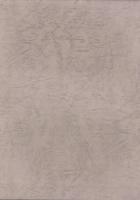 （東京大学史料編纂所蔵）美濃国諸家系譜　-安田氏系図、堀氏系図、徳ノ山氏家譜-（岐阜県）