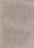 （東京大学史料編纂所蔵）美濃国諸家系譜　-河野家一族・一柳、安藤氏之事、加藤氏之家譜、富樫・前野・坪内-（岐阜県）