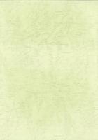 岐阜市城田寺　國島家文書（岐阜県）