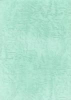 岐阜市城田寺　國島家文書2　-む可しの七右衛門、当時の治右衛門、心得違ひを記ス、淳岩玄朴著・舟田記・写-（岐阜県）