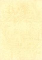 終焉記　其角書　-芭蕉翁桃青居士-　江州粟津　義仲寺