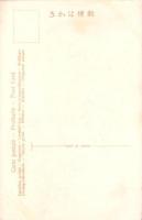 （絵葉書）女性　-手彩色-　1枚