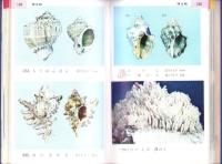 天然色　魚貝図鑑　-天然色生物図鑑シリーズ第2巻-
