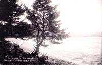 （絵葉書）田澤湖名所　-白濱より大澤方面の風光-　1枚（秋田県）