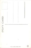 （絵葉書）向島　隅田公園　1枚（東京）