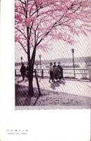 （絵葉書）向島　隅田公園　1枚（東京）