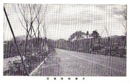 （絵葉書）多摩御陵参道　1枚（東京）