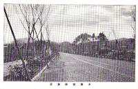 （絵葉書）多摩御陵参道　1枚（東京）