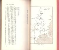 謎の反乱　-藤原氏の陰謀と続日本紀-　CHISAN BOOKS