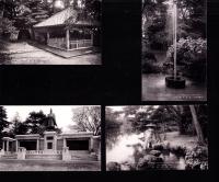 （絵葉書）金澤兼六園　4枚（石川県）