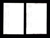 （絵葉書）越前名勝 海女　2枚（福井県）