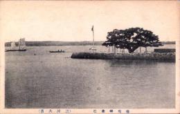 （絵葉書）権現岬傘松　-三河大濱-　1枚（愛知県）