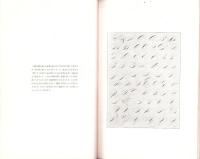 ORNAMENTAL WRITING Made Easy　装飾字体の研究