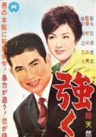 （映画スピードポスター型プレスシート）大映「強くなる男」