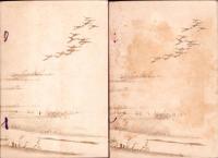 訂正増補　候文範　全2冊