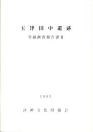 玉津田中遺跡　-発掘調査報告書Ⅱ-（兵庫県）