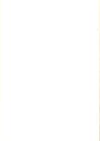 玉津田中遺跡　-発掘調査報告書Ⅱ-（兵庫県）