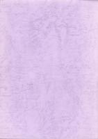 須代遺跡Ⅲ　-加悦町文化財調査報告 第17集-（京都府）