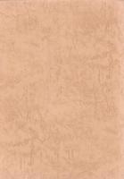 上巾上Ⅱ遺跡　-美濃市文化財調査報告 第5号-（岐阜県）