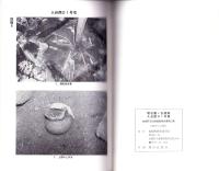 明石裏ノ谷遺跡・入谷西D1号墳　-加悦町文化財調査報告 第23集-（京都市）