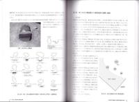 水入遺跡　全3冊一函入　-愛知県埋蔵文化財センター調査報告書 第108集-（愛知県）